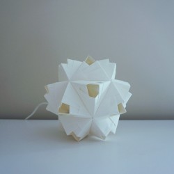 Large Bloom