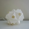 Medium Lopsi Bloom