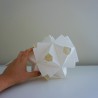 Medium Lopsi Bloom