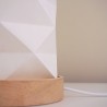Pleated