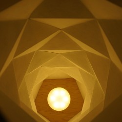 Pleated